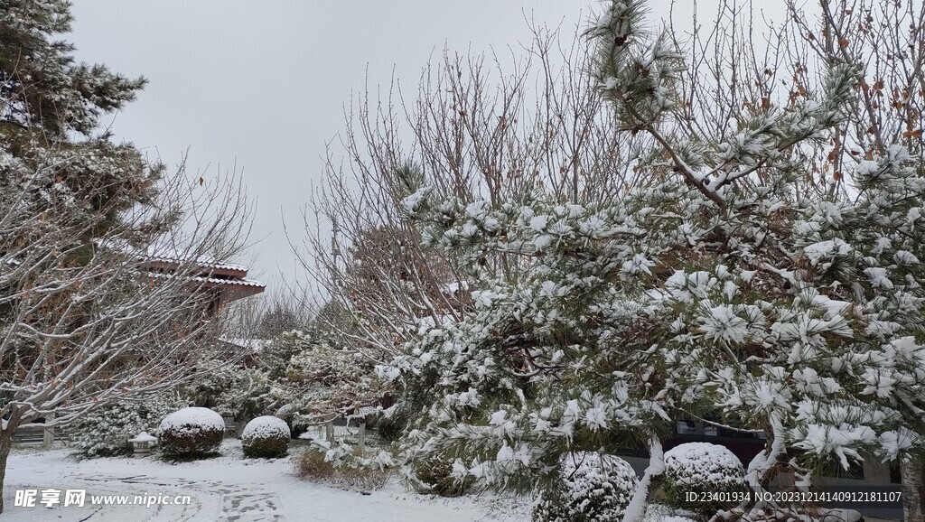 冬季雪景雪天园林