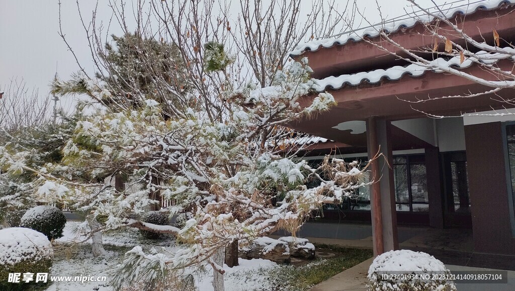 冬季雪景雪天复古建筑园林