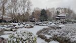 北京园博园雪景雪天