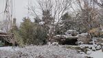 北京园博园雪景雪天假山