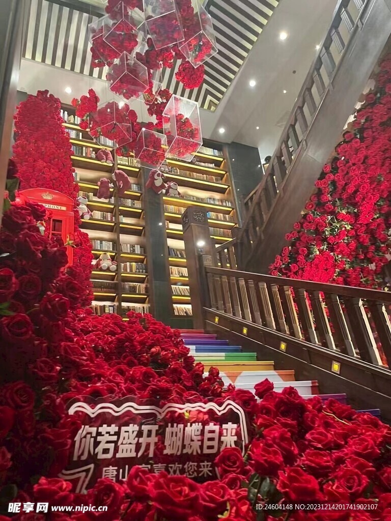 玫瑰花