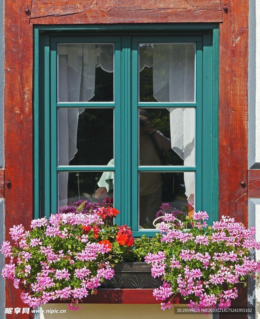 窗台花盆