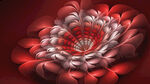 红色花卉插画背景