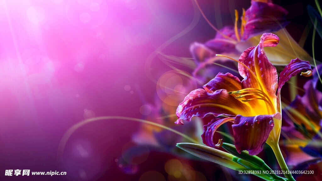 紫底花卉插画背景