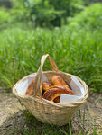 野餐