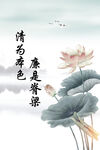 清廉 荷花