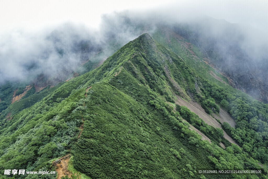 山顶风光