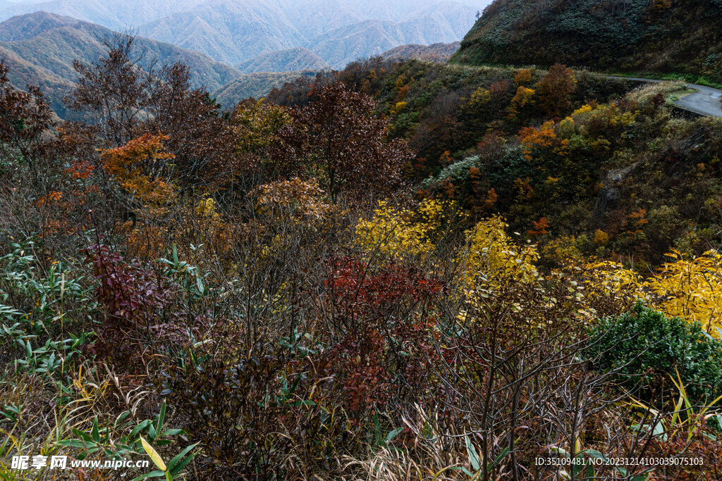 山顶风光