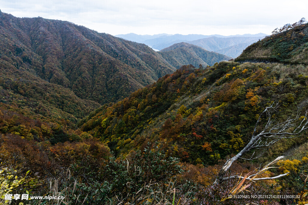 山顶风光