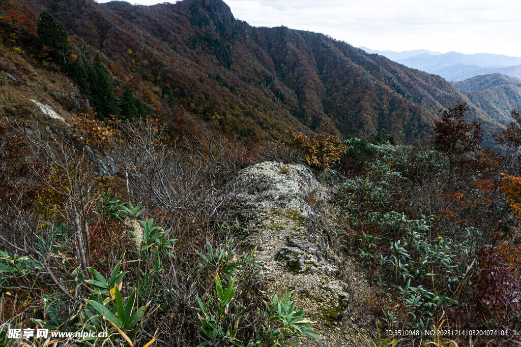 山顶风光