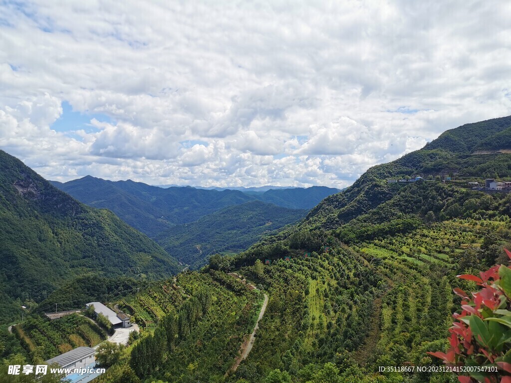 梯田