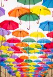 彩色雨伞