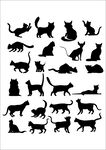 矢量猫