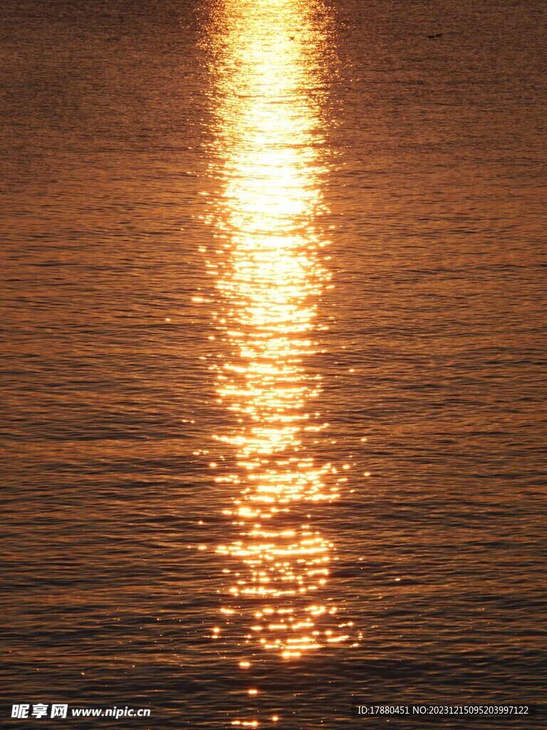 海面