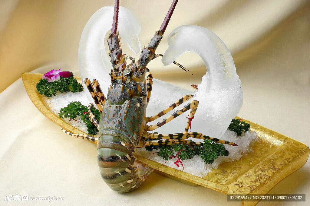 龙虾