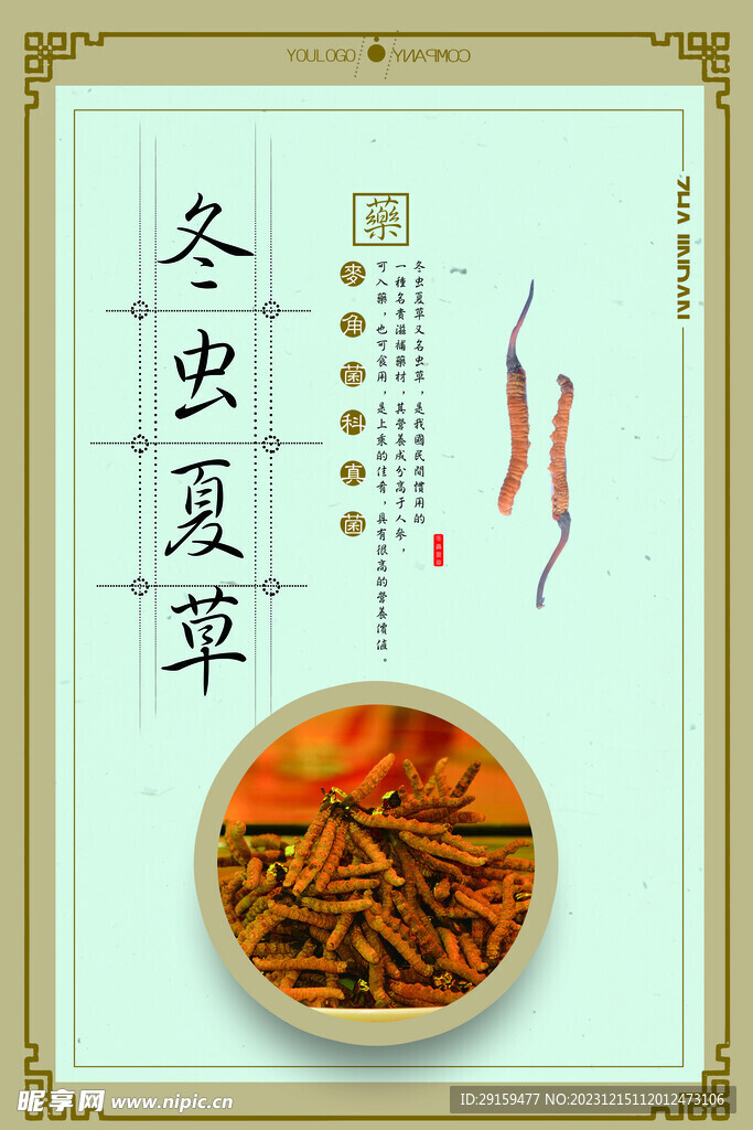 虫草