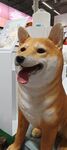 狗狗雕像 