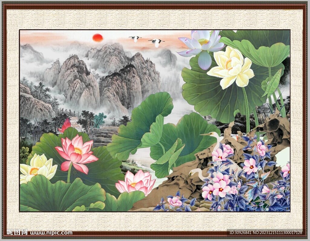 荷花 