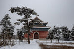 雪松与大殿