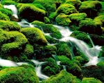 瀑布