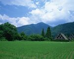 高山