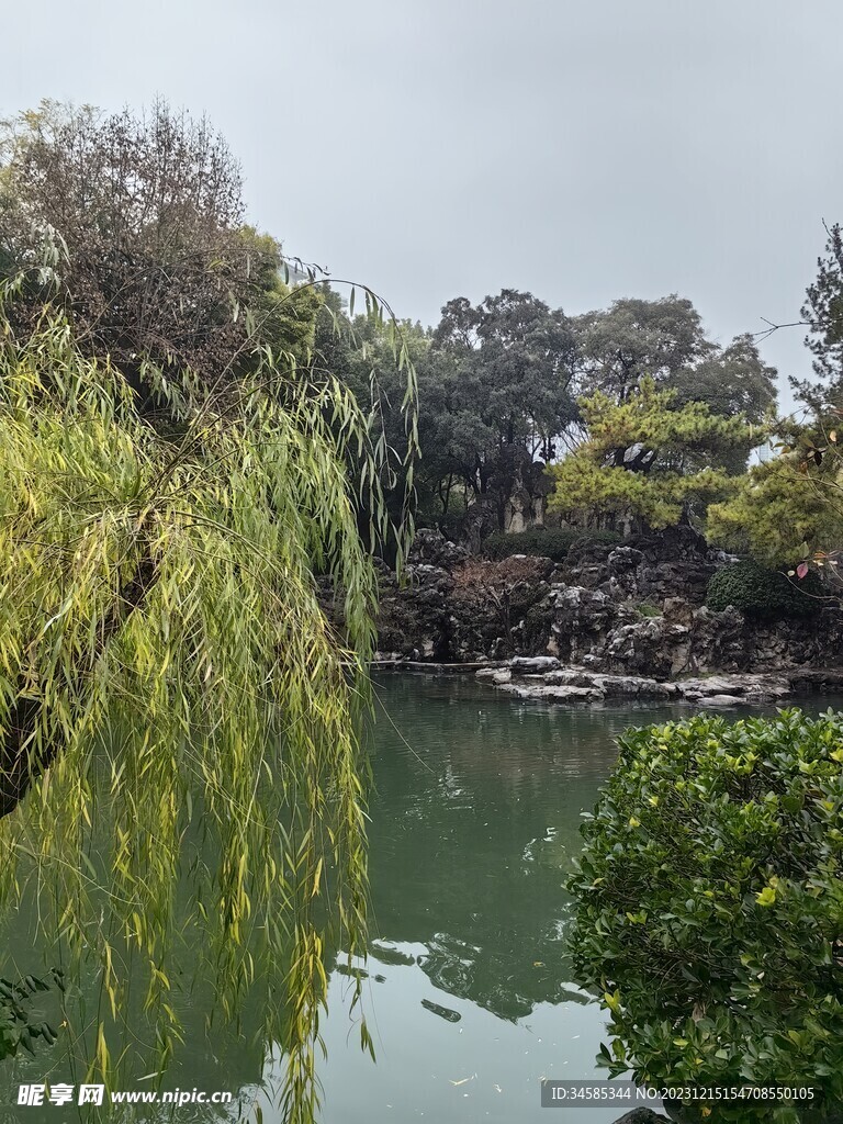 树