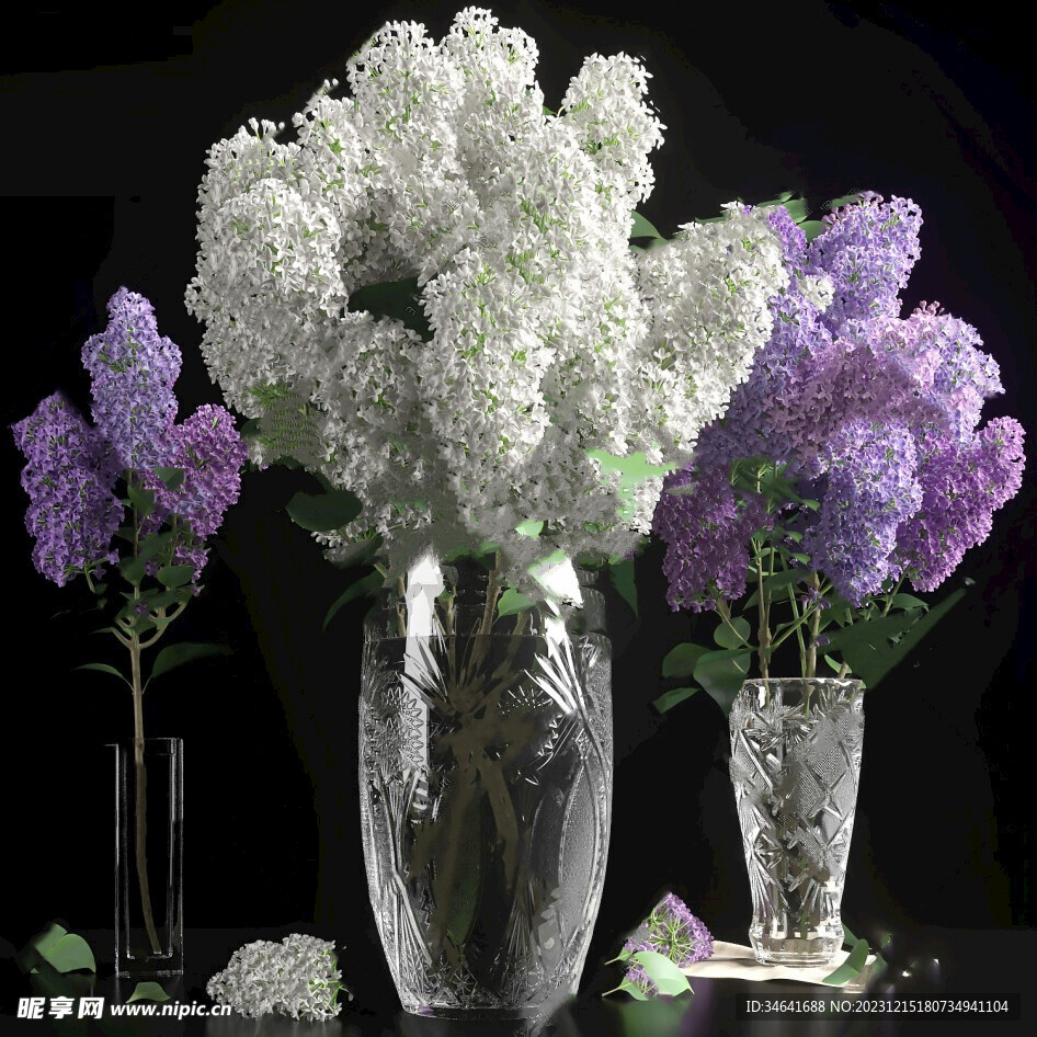 花卉3D模型下载