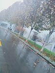 雨季