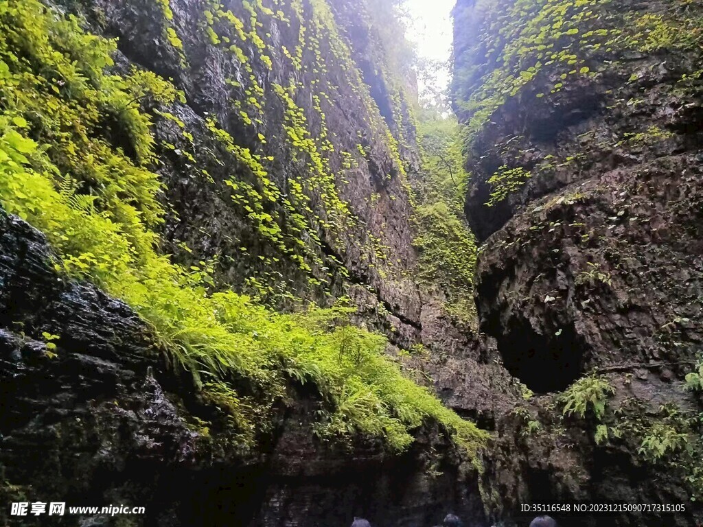 葱郁山