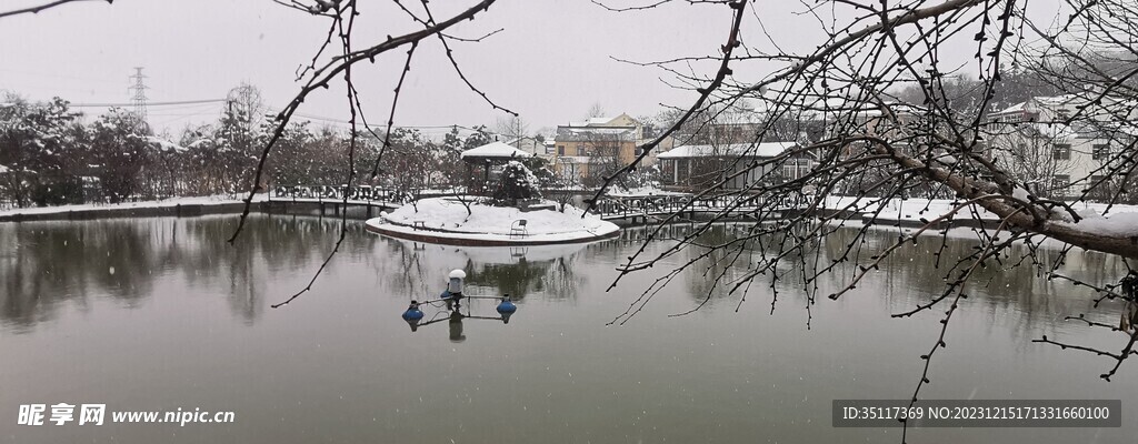 公园雪景