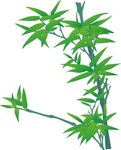 竹子  植物  矢量图