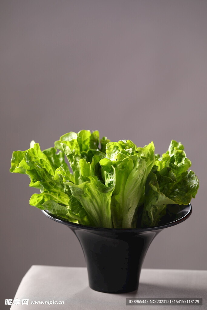 生菜