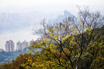 重庆南山风景