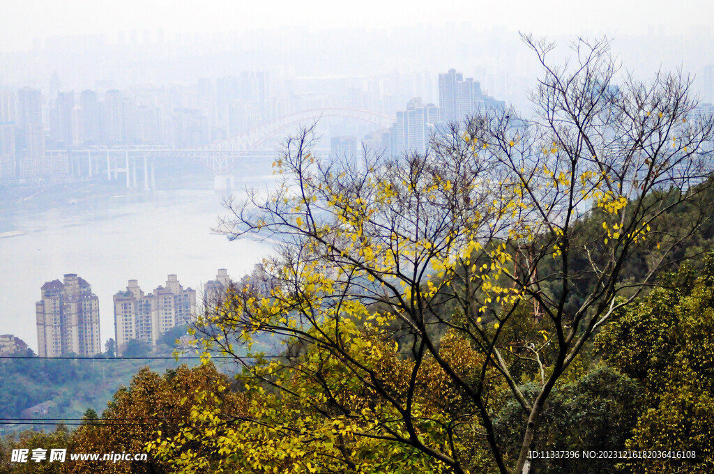 重庆南山风景