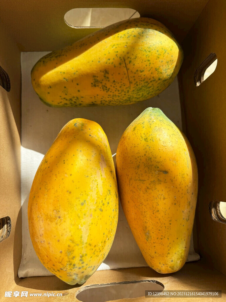 木瓜