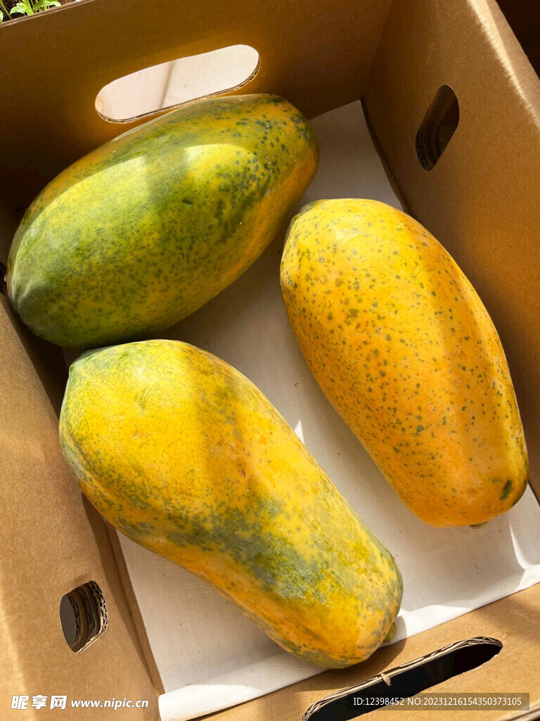 红心木瓜