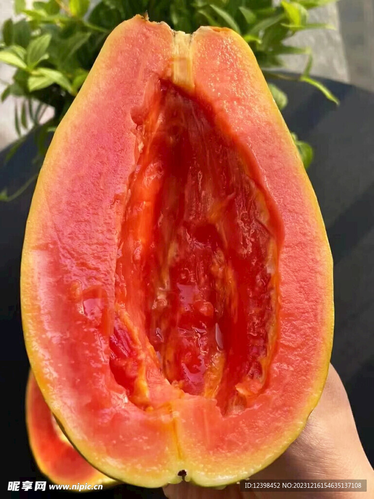 红心木瓜
