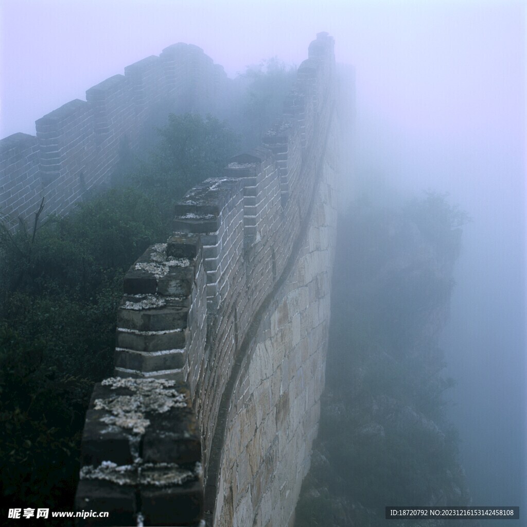 云雾森林图片