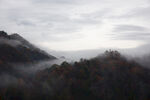 云雾森林图片