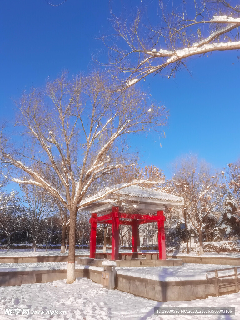 公园雪景