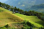 田园乡村