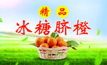 脐橙