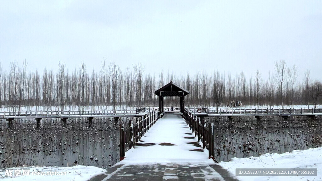 稻屯洼雪景