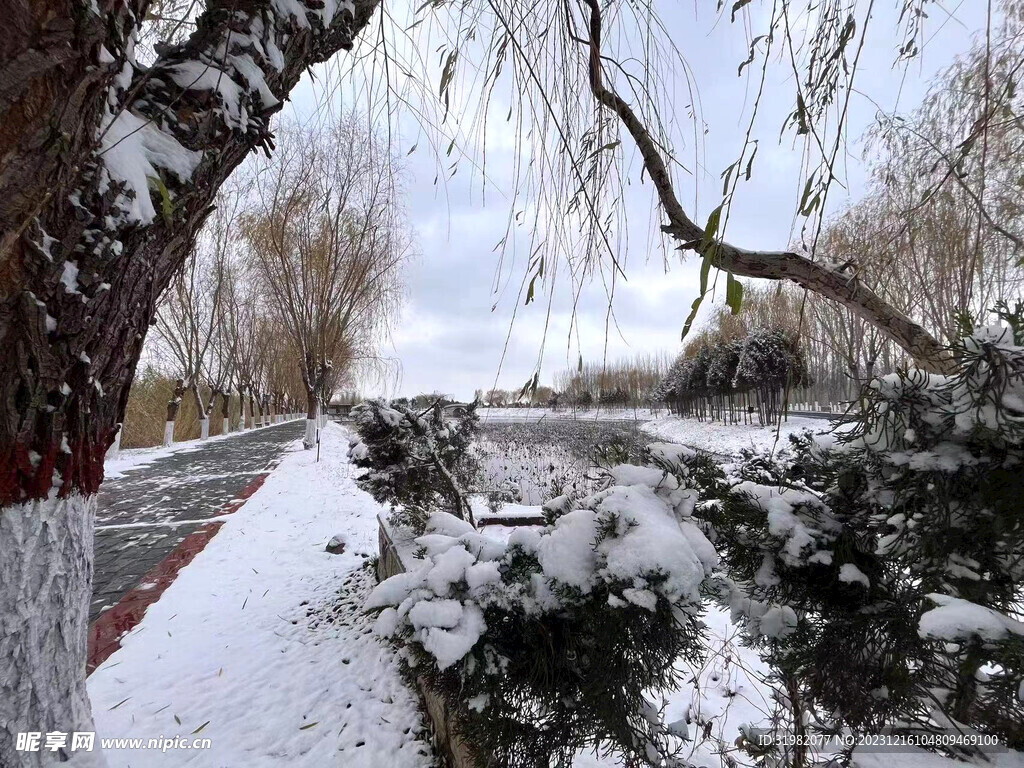 稻屯洼雪景 