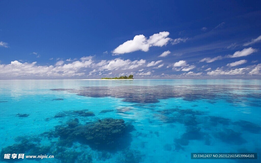 大海