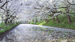 河流