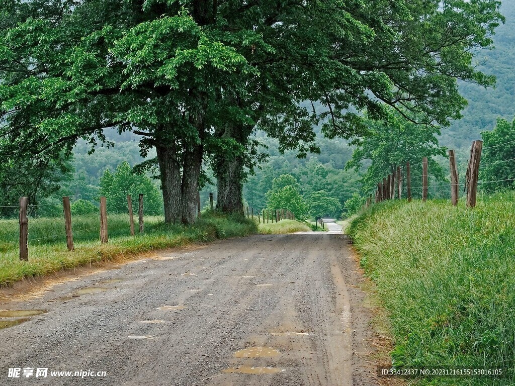 道路