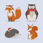 狐狸猫头鹰刺猬松鼠插画