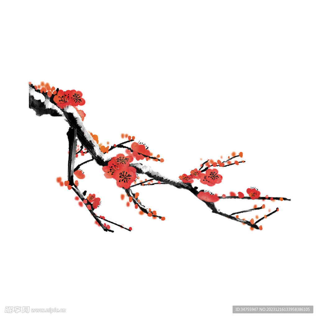梅花