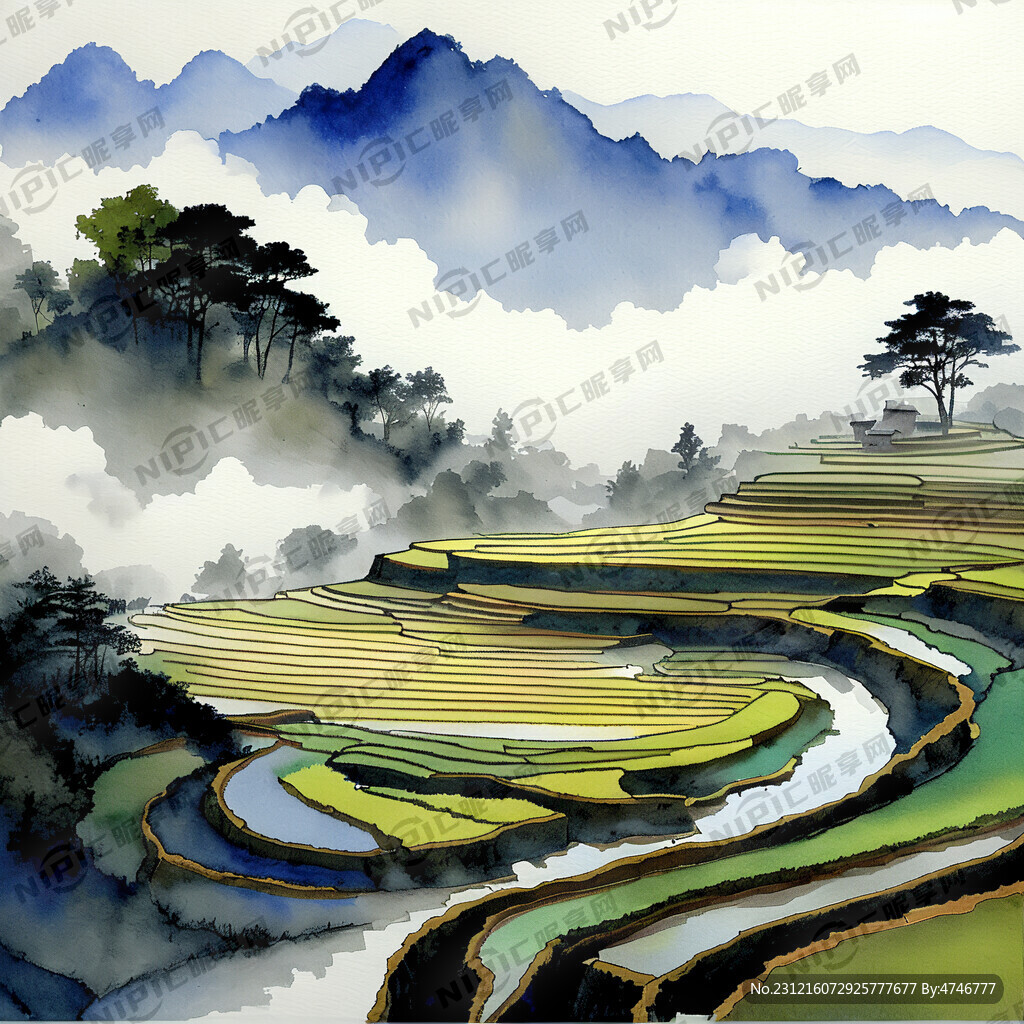 梯田   云雾 优美 口出